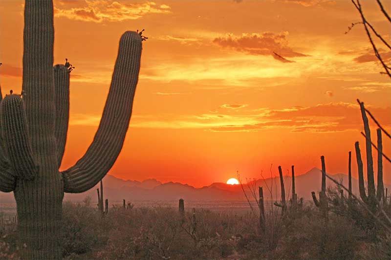 Landscape of Tucson